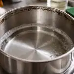 Σώζοντας ένα καμένο τηγάνι χωρίς χημικά και μεγάλη τριβή unnamed-file.png